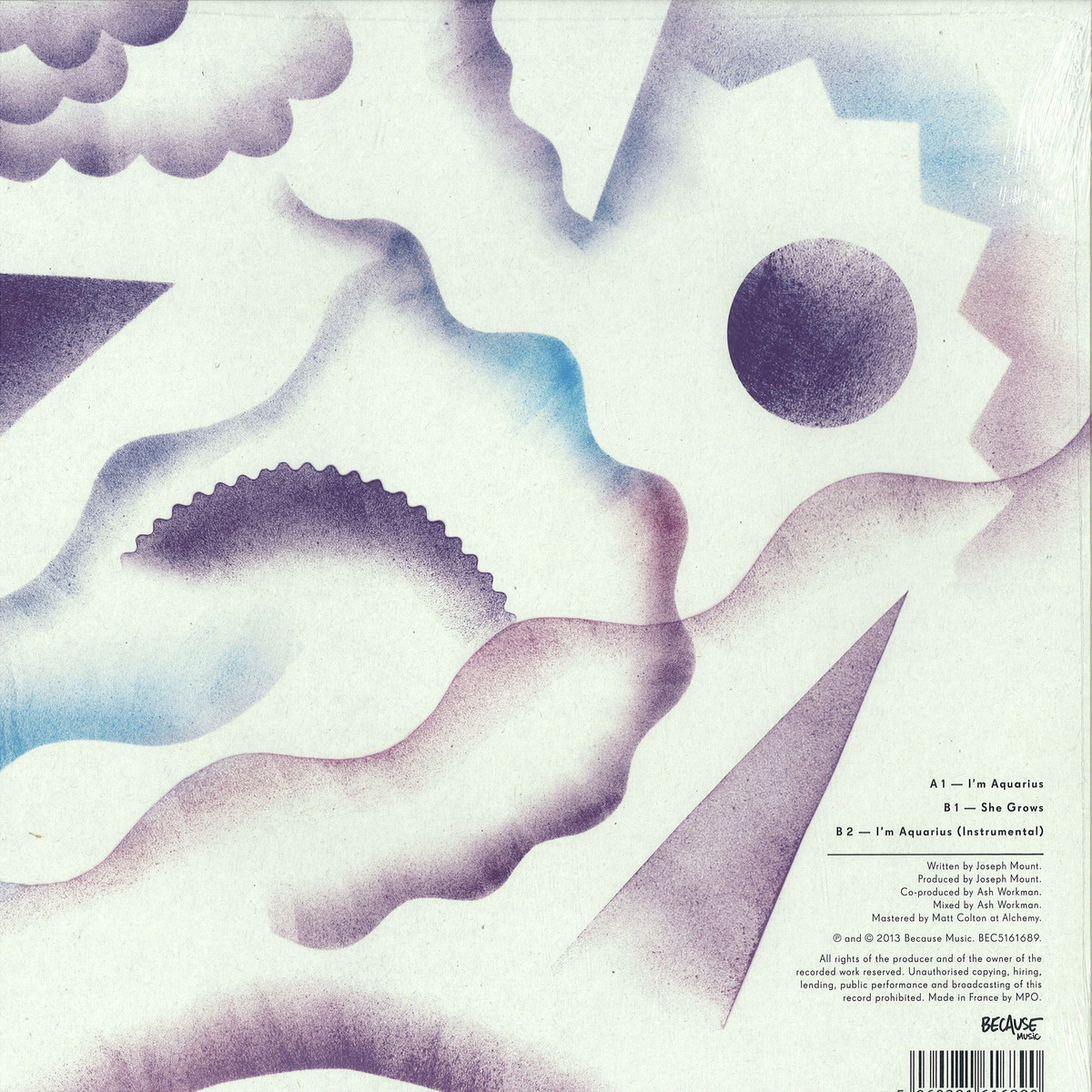 Metronomy - I'm Aquarius / Because Music BEC5161689 - Vinyl